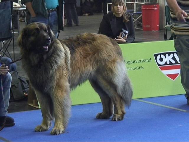 Salzburg Clubschau Mai 06 094 